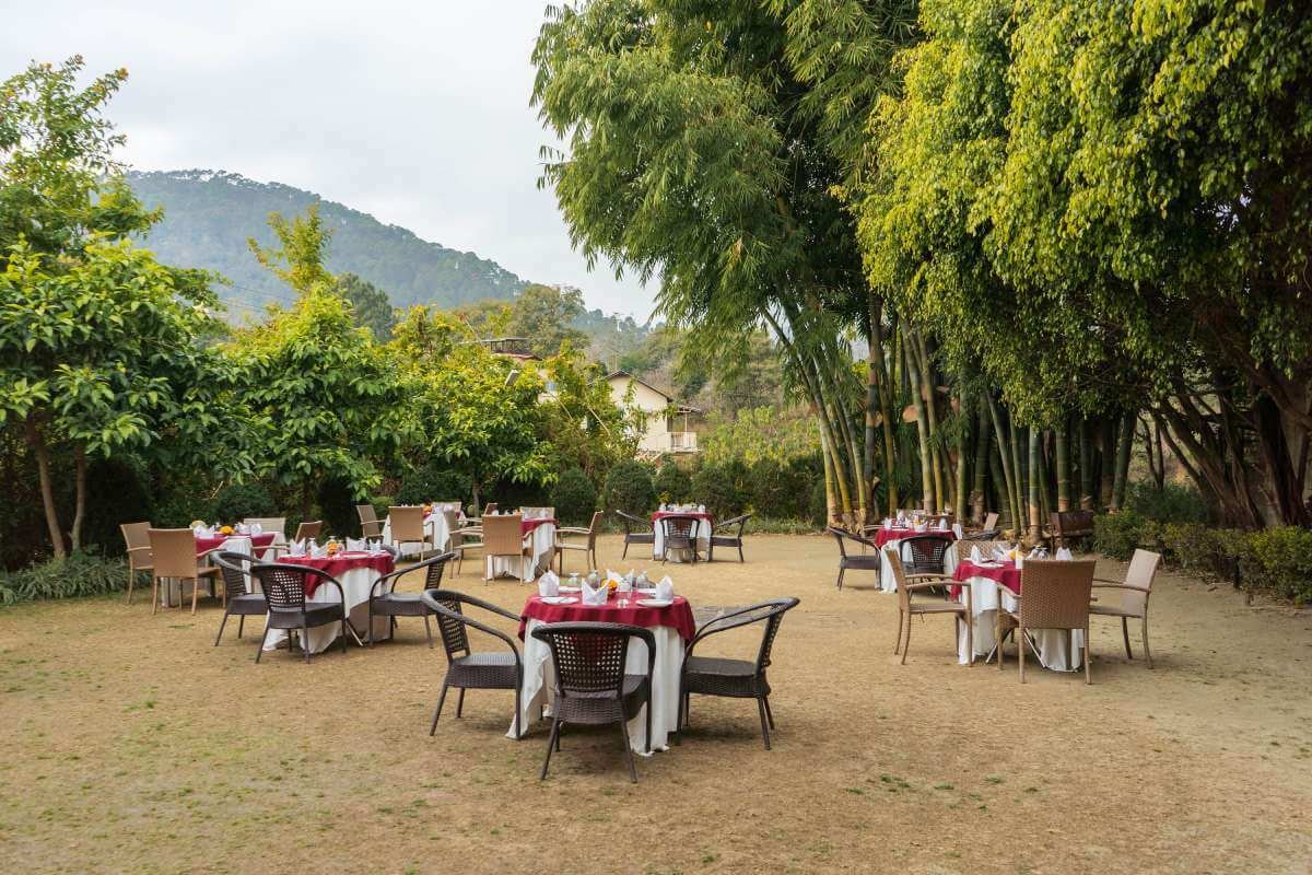 Outdoor dining area surrounded by trees and mountain scenery
